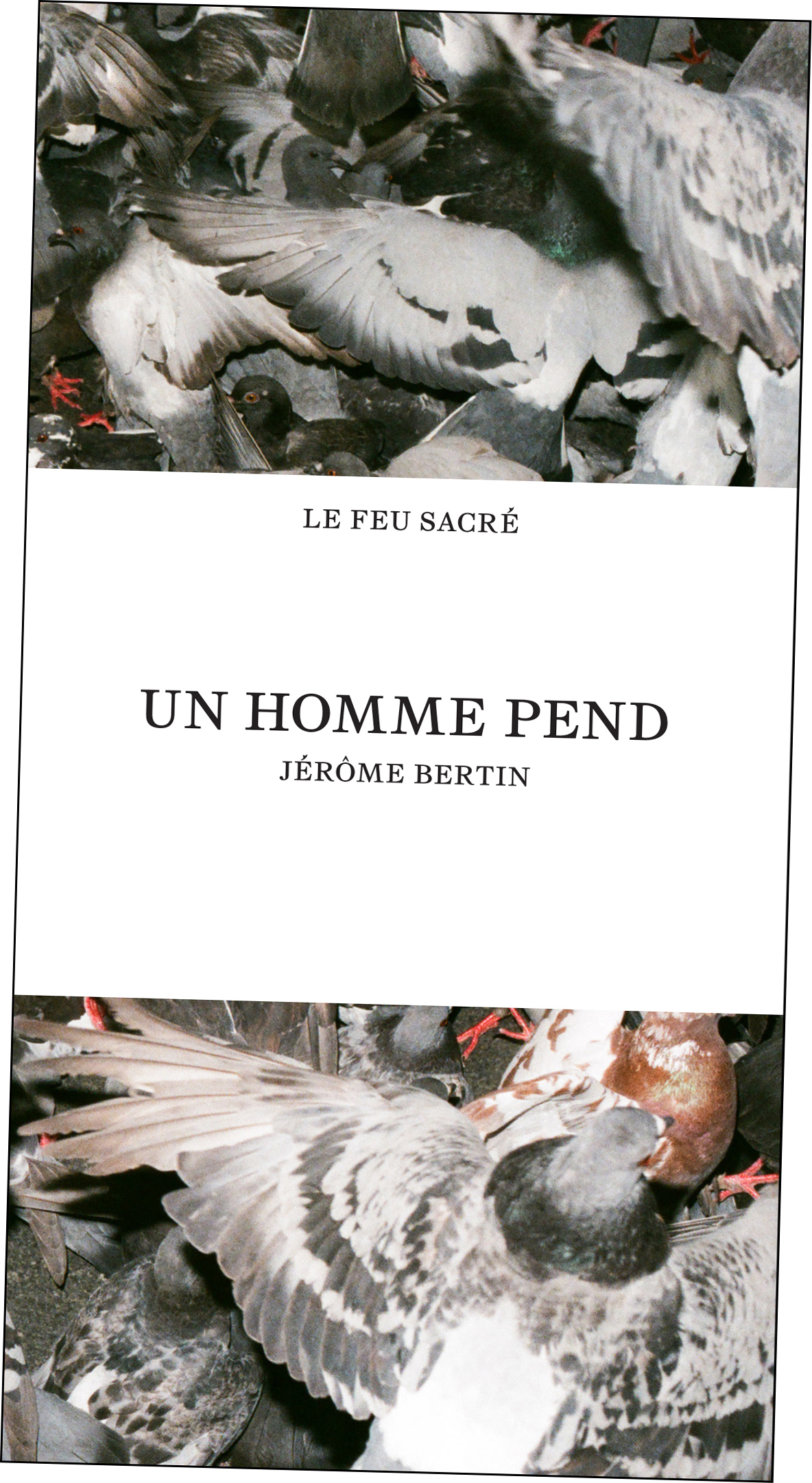 Jérôme Bertin - Un homme pend - couverture du livre
